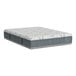 A Rize Home Cool Choice memory foam mattress on a white background.
