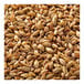 A pile of Briess Caramel Malt grains.