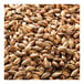 A pile of Briess Bonlander Munich Malt.