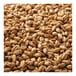 A close up of Briess White Wheat Malt grains.