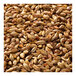 A pile of grainy Briess Caramel Malt.