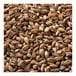 A pile of Briess Victory Malt, brown grains.