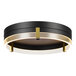 A round LED integrated flush mount ceiling light with an etched acrylic edge-lit shade and matte brass accents.
