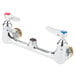 A chrome T&S wall mounted pantry faucet base with Eterna cartridges and CC connections.