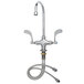 A T&S chrome deck-mounted faucet with a swivel gooseneck spout and wrist handles.