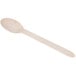 A Eco-gecko heavy weight disposable wooden spoon with a handle.