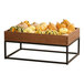 A Cal-Mil black metal rectangular display riser with pumpkins and squash on it.