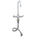 A T&S chrome deck-mounted pantry faucet with a swivel gooseneck nozzle and flex inlets.