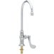 A chrome T&S deck mount pantry faucet with a gooseneck spout and wrist action handle.