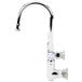 A T&S chrome wall mount faucet with a gooseneck.