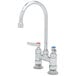 A T&S chrome deck-mounted faucet with two lever handles.