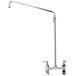 A silver T&S deck-mounted faucet with a long curved arm and lever handle.