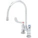 A T&S chrome deck-mounted faucet with wrist handles and a gooseneck nozzle.