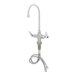 A T&S chrome deck-mounted pantry faucet with flex inlets and a swivel gooseneck nozzle.