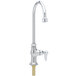 A chrome T&S deck-mount faucet with a single supply pipe and gooseneck spout.
