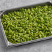 A metal tray filled with individually quick frozen (IQF) diced green peppers.