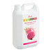 A large plastic jug of Fanale Red Dragon Fruit Concentrated Syrup, 135.3 fl. oz.