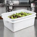 A white Tablecraft plastic container with green lettuce inside on a counter.