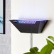 A black metal trapezoidal wall sconce LED insect light trap with a visible blue light, designed for indoor use.