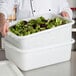 A person holding a white Tablecraft perforated plastic container of lettuce.