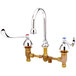 A chrome T&S deck mount medical faucet with two gooseneck faucets and wrist action handles.