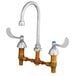 A T&S deck mount medical faucet with gooseneck and wrist action handles.