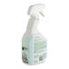 A spray bottle of CloroxPro Clorox EcoClean 32 oz. glass cleaner.