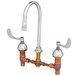A T&S deck mount faucet with two wrist action handles and a gooseneck spout.
