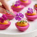 A plate of deviled eggs with pink-dyed whites, orange filling, and garnished with purple edible dianthus flowers and microgreens.