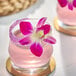 A glass of pink beverage garnished with a purple edible orchid and a sugared rim.