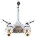 A chrome T&S medical faucet with 2 brass lever handles.