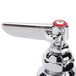 A chrome T&S medical faucet with lever handles.