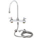 A T&S chrome deck mount faucet with gooseneck spout and spray valve hose.