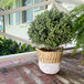 A large artificial boxwood ball topiary in a woven basket-style pot placed on a brick porch.