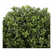 An artificial potted boxwood ball topiary with dense green foliage.