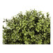 An artificial potted boxwood double ball topiary with dense green foliage.