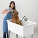 A large white polypropylene utility laundry tub sink with steel legs and a faucet kit, shown being used to bathe a dog.