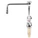 A chrome T&S deck-mount faucet with gooseneck and wrist action handles.
