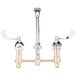 A T&S deck-mount faucet with 8" gooseneck and 4" wrist action handles.