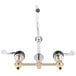 A chrome T&S deck-mount faucet with gooseneck and wrist action handles.