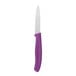 A small paring knife with a straight stainless steel blade and an eggplant purple handle.
