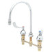 A chrome T&S deck-mount faucet with gooseneck and wrist action handles.