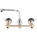 A close-up of a chrome T&S deck-mount faucet with two brass handles.