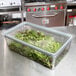 A clear polycarbonate food storage container with a tight-fitting lid, filled with leafy greens.