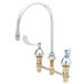 A T&S chrome deck-mount faucet with gooseneck and wrist action handles.