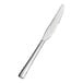 A stainless steel dinner knife with a simple, modern design.