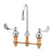 A T&S medical deck mount faucet with two wrist action handles.