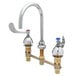 A chrome T&S medical faucet with gooseneck and wrist action handles.