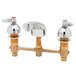 A T&S Medical Faucet with brass and chrome lever handles.