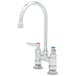 A T&S chrome deck-mounted faucet with two lever handles.